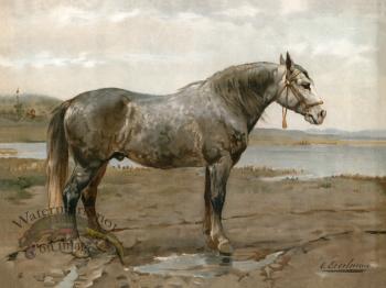 Russian Work Horse by Eerelman